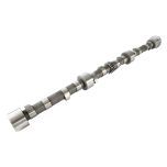 CAMSHAFT D SERIES> M6 / RTYPE - RE19517-X