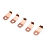 BRUSH IGNITION SWITCH (SET OF 5) (D74962)