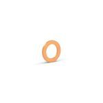 WASHER COPPER BRAKE HOSES - RG5779-X