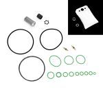 VIR UNIT OVERHAUL KIT (RH20196KIT)